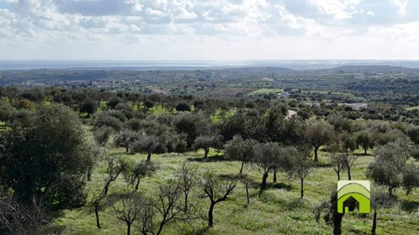 terreno agricolo in vendita a Noto