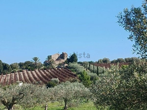 terreno agricolo in vendita a Noto in zona Vendicari