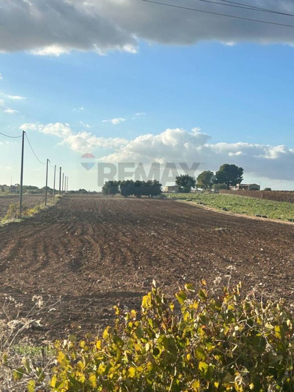 terreno agricolo in vendita a Noto