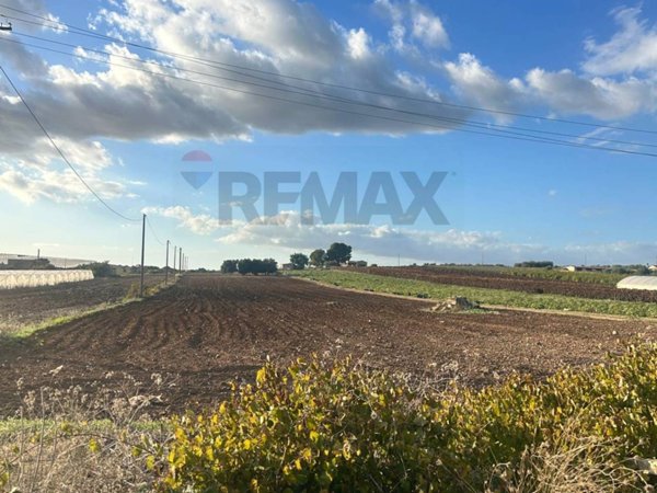 terreno agricolo in vendita a Noto