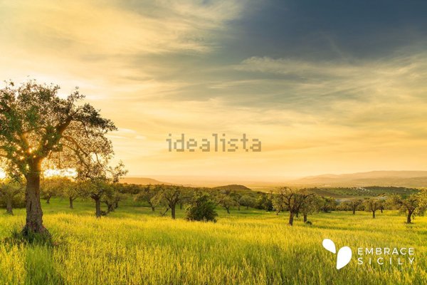 casa indipendente in vendita a Noto