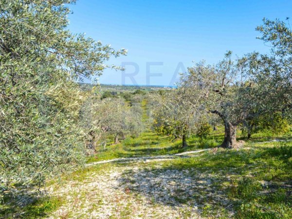 terreno agricolo in vendita a Noto
