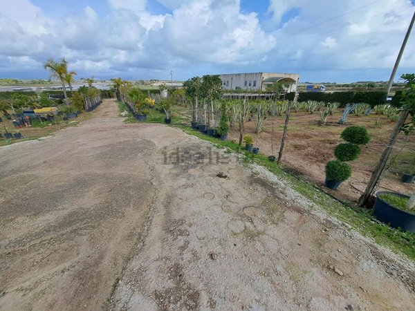 terreno agricolo in vendita a Noto