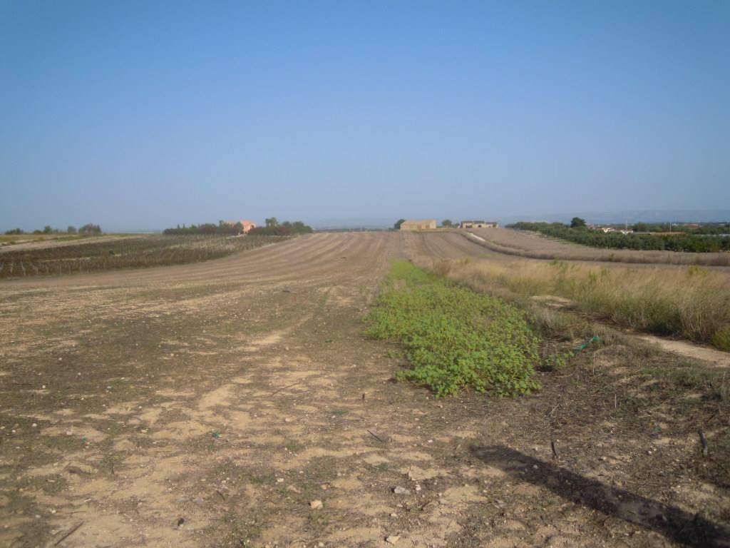 terreno agricolo in vendita a Noto