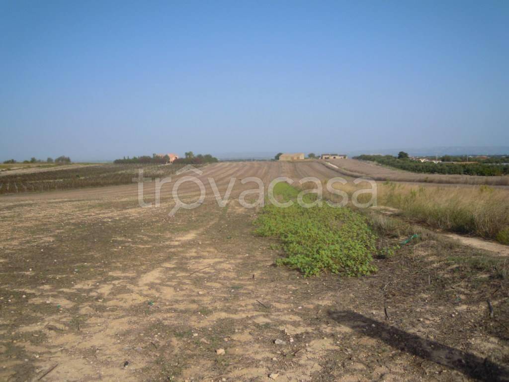 terreno agricolo in vendita a Noto