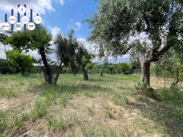 terreno edificabile in vendita a Noto in zona Madonna Marina