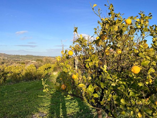 terreno agricolo in vendita a Noto in zona San Paolo