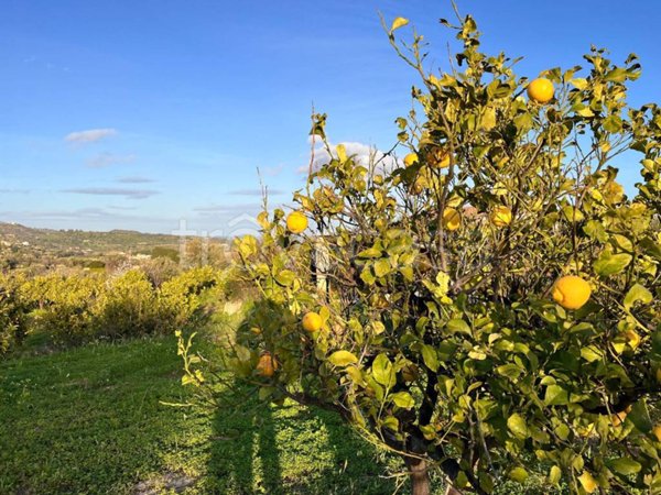 terreno agricolo in vendita a Noto in zona San Paolo