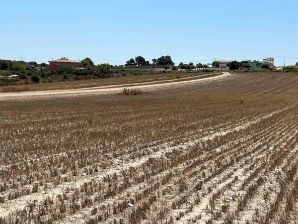 terreno agricolo in vendita a Noto