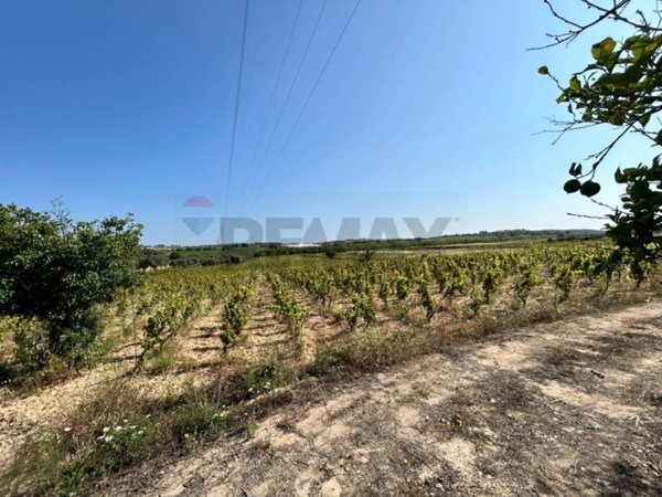 terreno agricolo in vendita a Noto