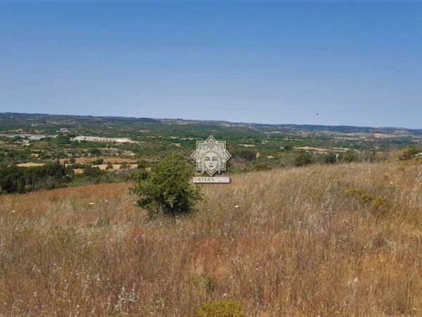 terreno agricolo in vendita a Noto