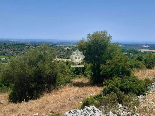terreno agricolo in vendita a Noto