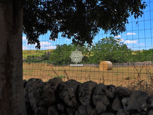casa indipendente in vendita a Noto