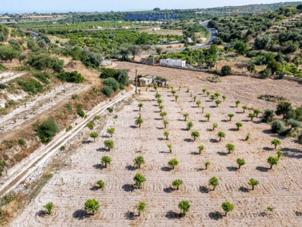 terreno agricolo in vendita a Noto