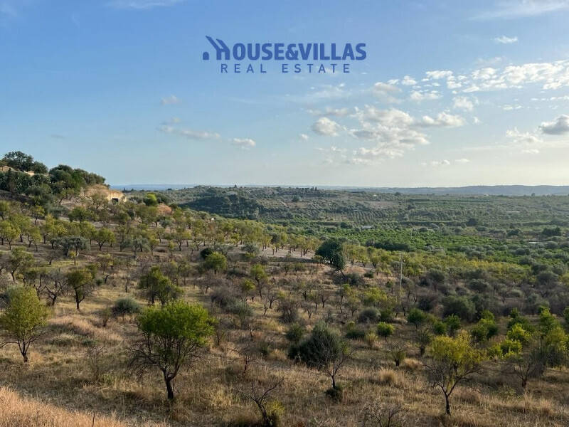 terreno agricolo in vendita a Noto