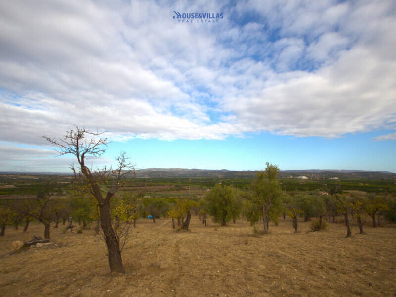 terreno agricolo in vendita a Noto