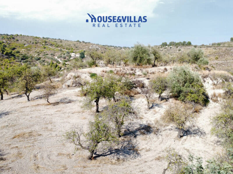 terreno agricolo in vendita a Noto