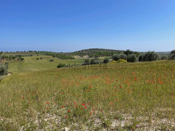 casa indipendente in vendita a Noto