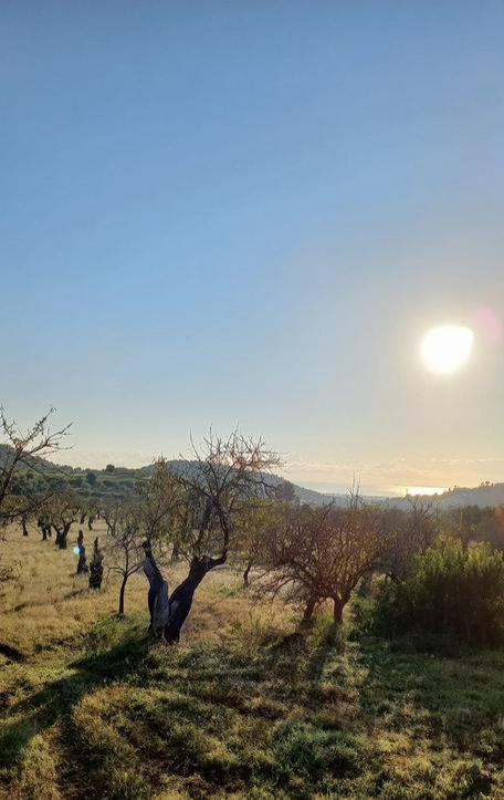casa indipendente in vendita a Noto