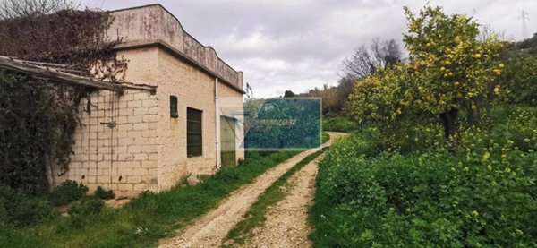 terreno agricolo in vendita a Noto