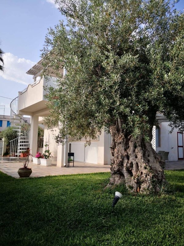 casa indipendente in vendita a Noto in zona Reitani