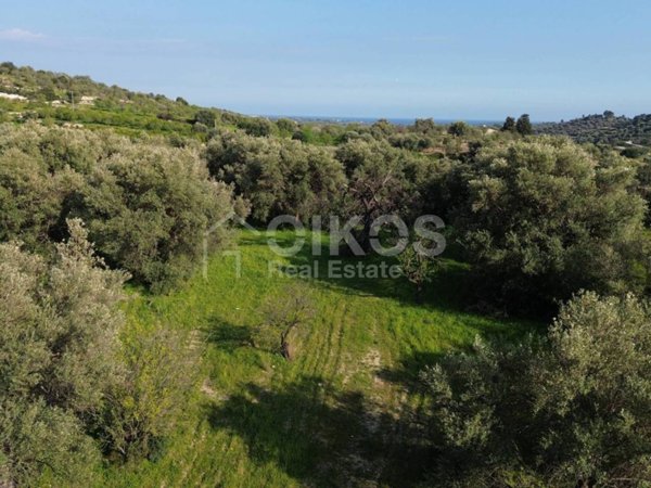 terreno agricolo in vendita a Noto