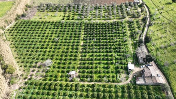 casa indipendente in vendita a Noto