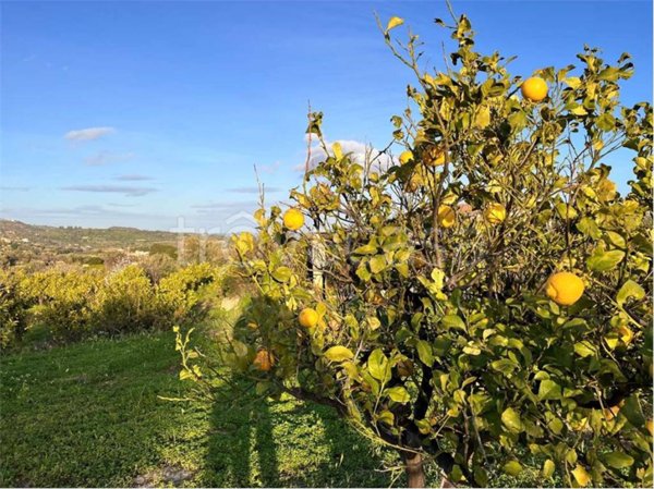 terreno agricolo in vendita a Noto in zona San Paolo