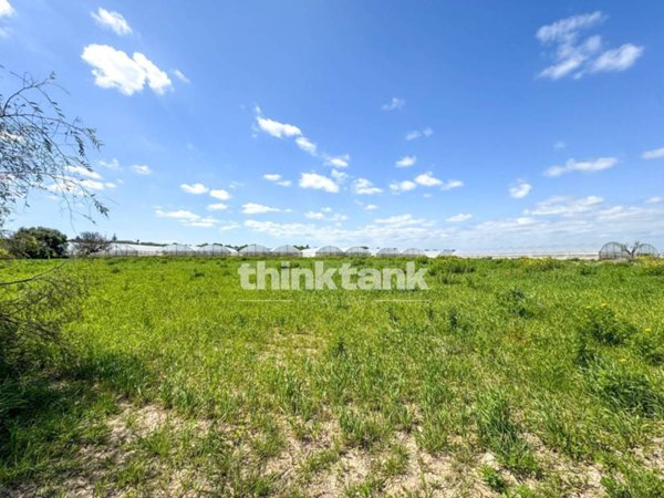casa indipendente in vendita a Noto in zona San Lorenzo