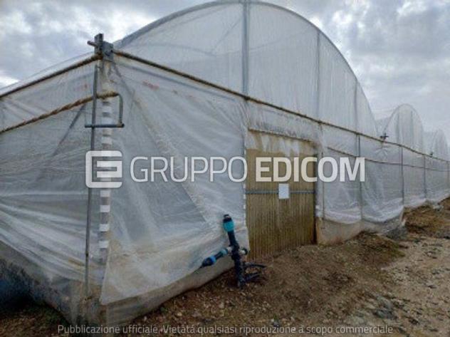 terreno agricolo in vendita a Noto