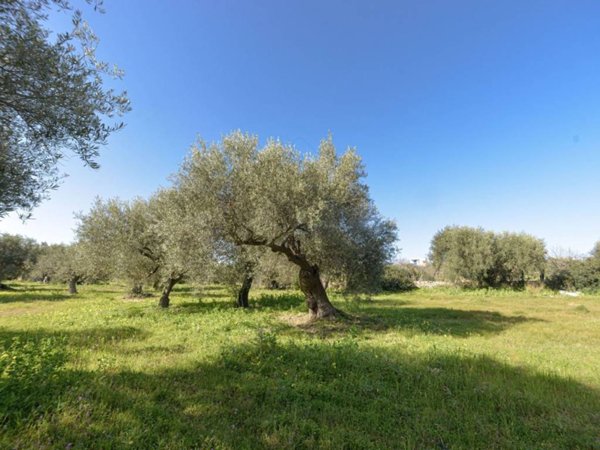 terreno agricolo in vendita a Noto in zona Falconara