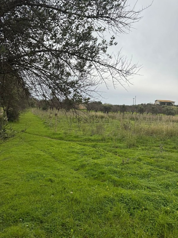 casa indipendente in vendita a Noto in zona Vendicari