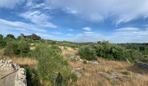 terreno agricolo in vendita a Noto