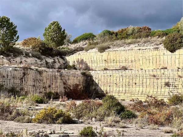 terreno agricolo in vendita a Noto in zona San Corrado di Fuori