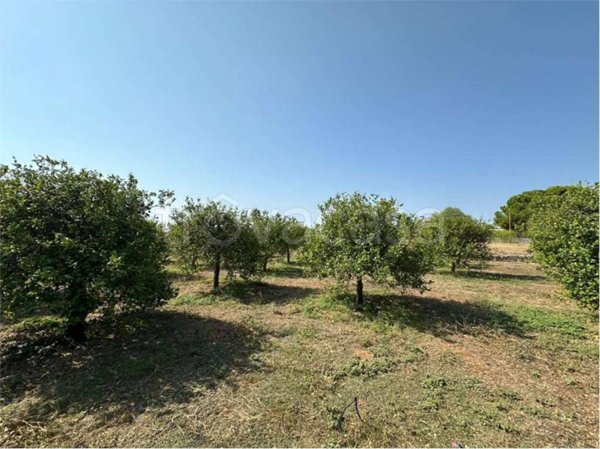 terreno agricolo in vendita a Noto in zona Lido di Noto