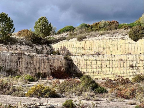 terreno agricolo in vendita a Noto in zona San Corrado di Fuori