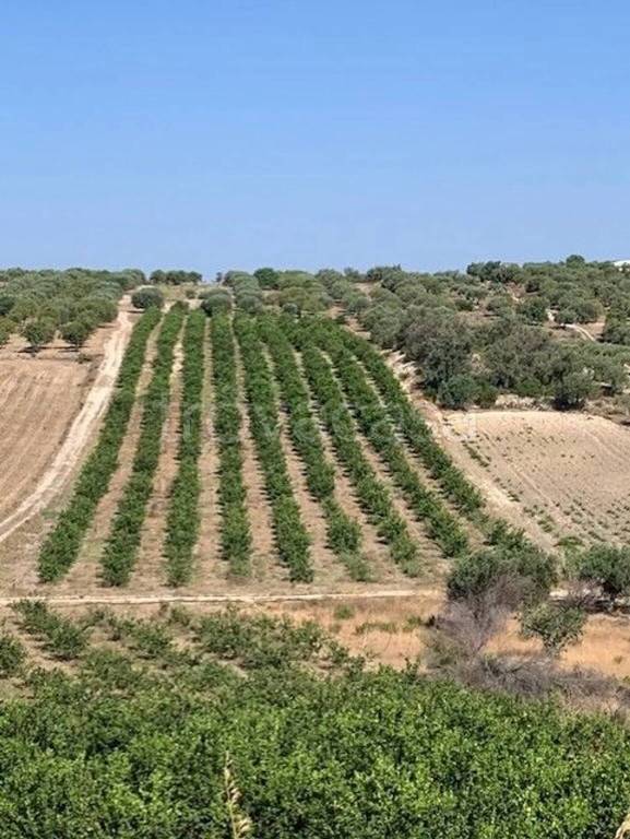 ufficio in vendita a Noto