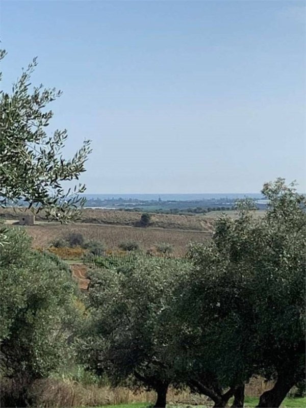 terreno agricolo in vendita a Noto