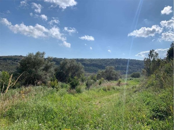 terreno agricolo in vendita a Noto