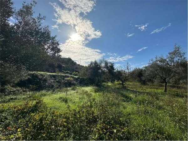 terreno agricolo in vendita a Noto