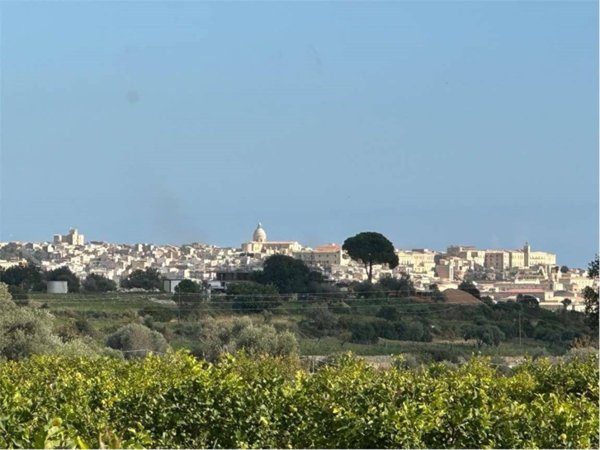 terreno agricolo in vendita a Noto
