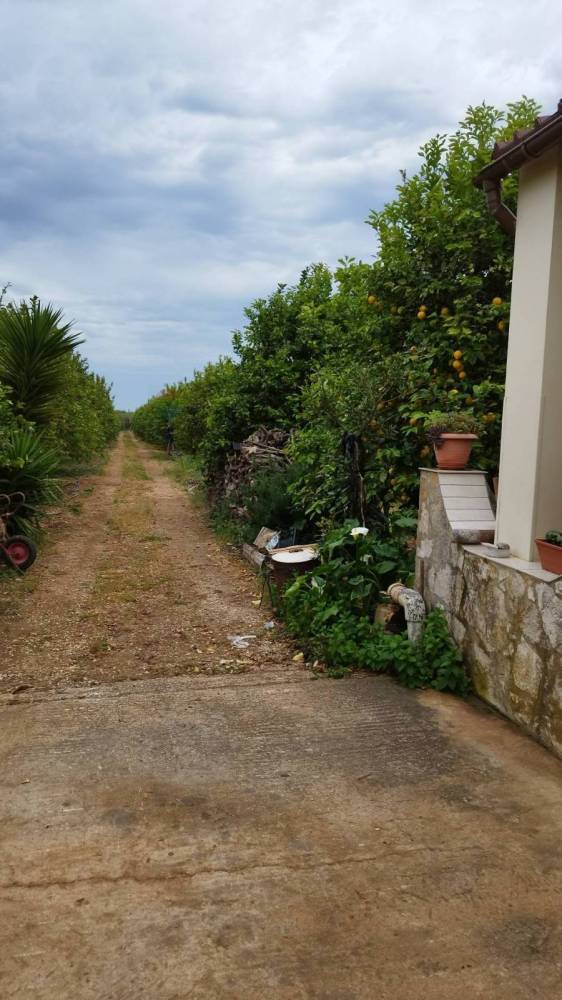 terreno agricolo in vendita a Noto in zona San Lorenzo