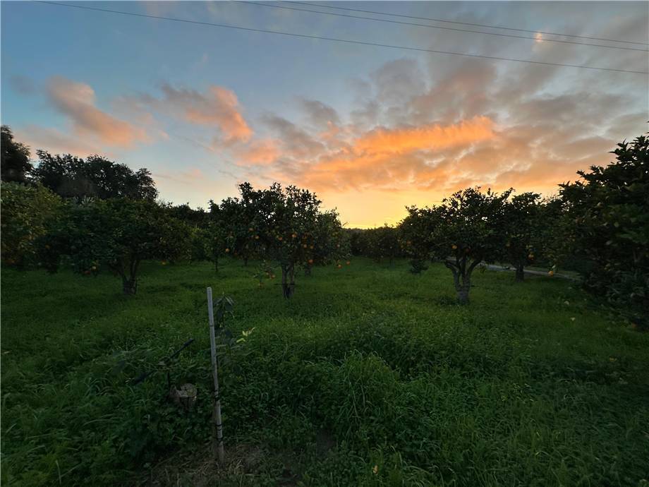 terreno agricolo in vendita a Noto