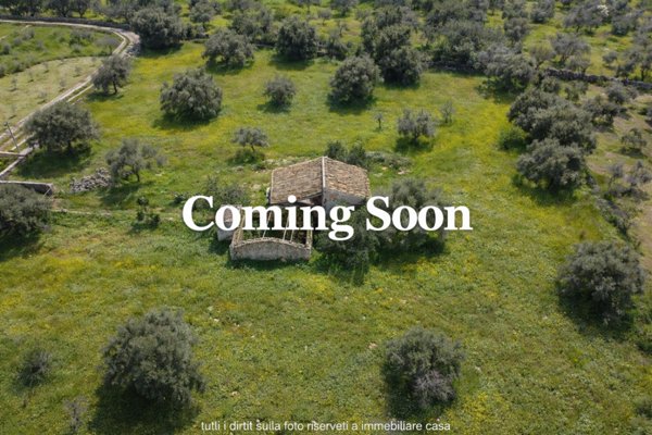 terreno agricolo in vendita a Noto