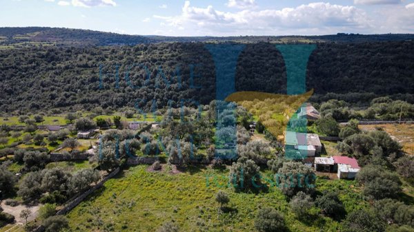 quadrivano in vendita a Noto