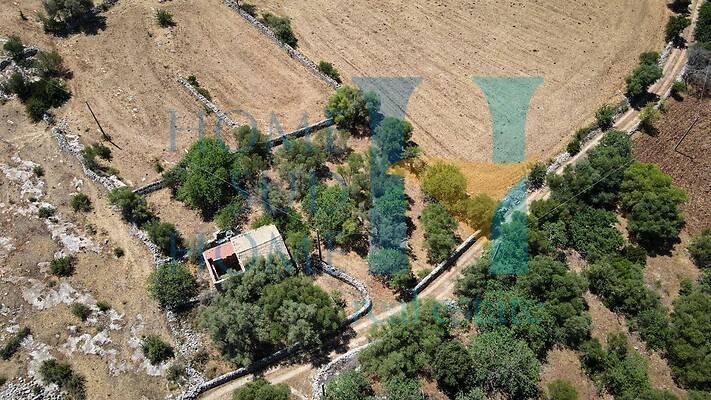 negozio in vendita a Noto