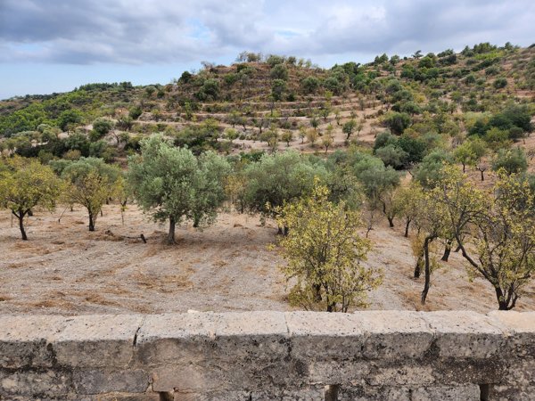 quadrivano in vendita a Noto