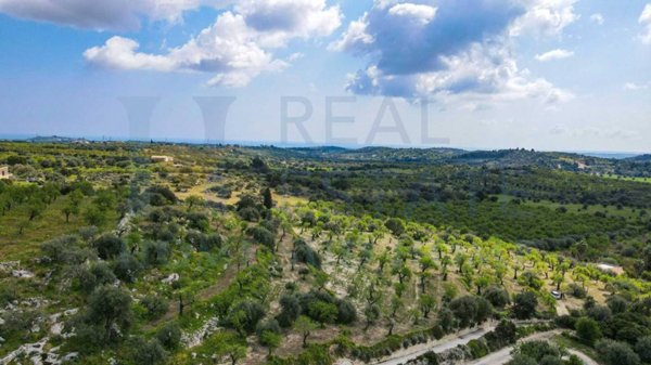 terreno agricolo in vendita a Noto