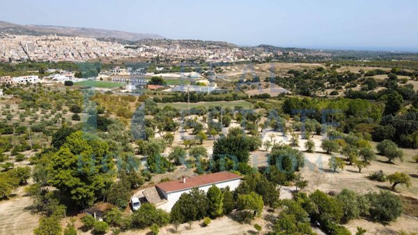 pentavano in vendita a Noto