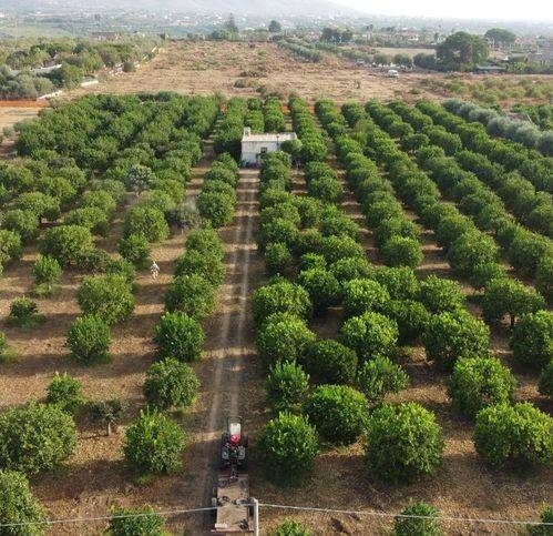 terreno agricolo in vendita a Noto in zona Lido di Noto